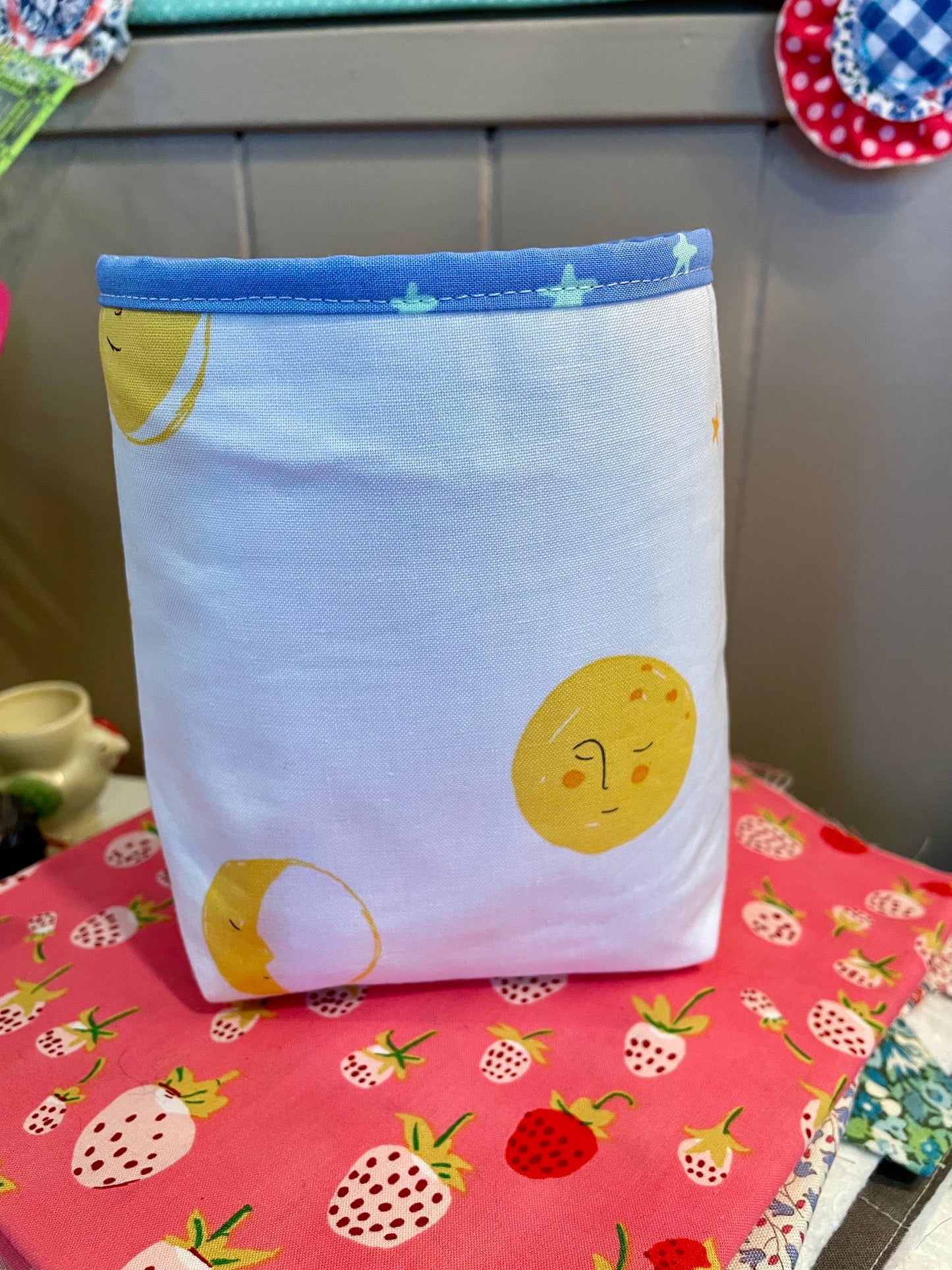 Rapunzel Fabric Bucket